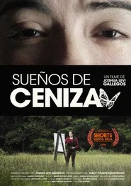 Sue&ntilde;os de Ceniza