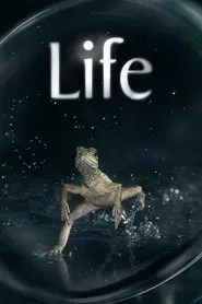 Life