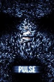 Pulse