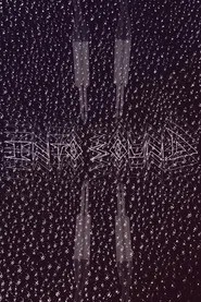 Into Sound
