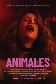 Animals